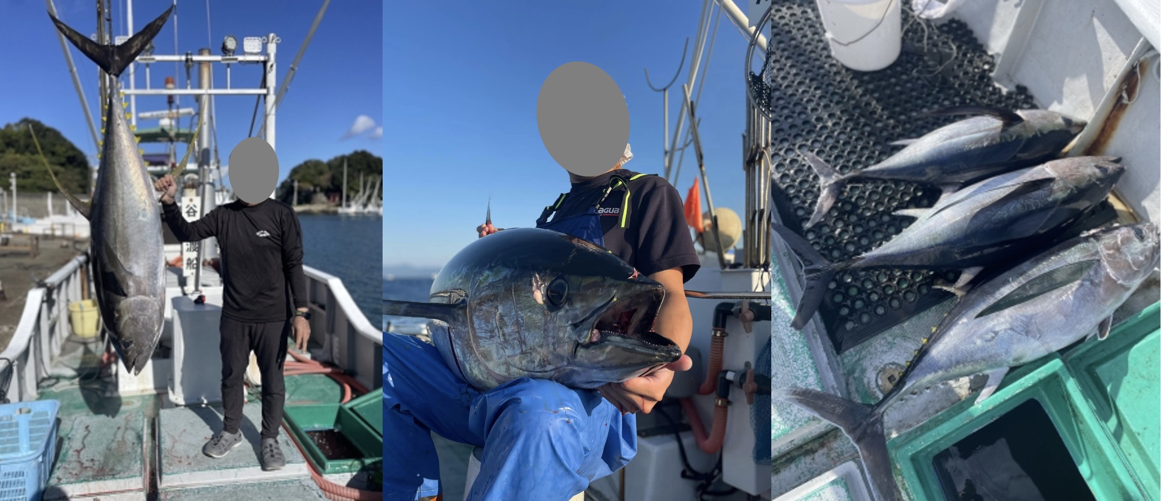 和歌山白滨・串本｜海钓私享行程（KIX进出）